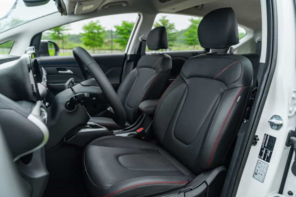 Hyundai Stargazer X