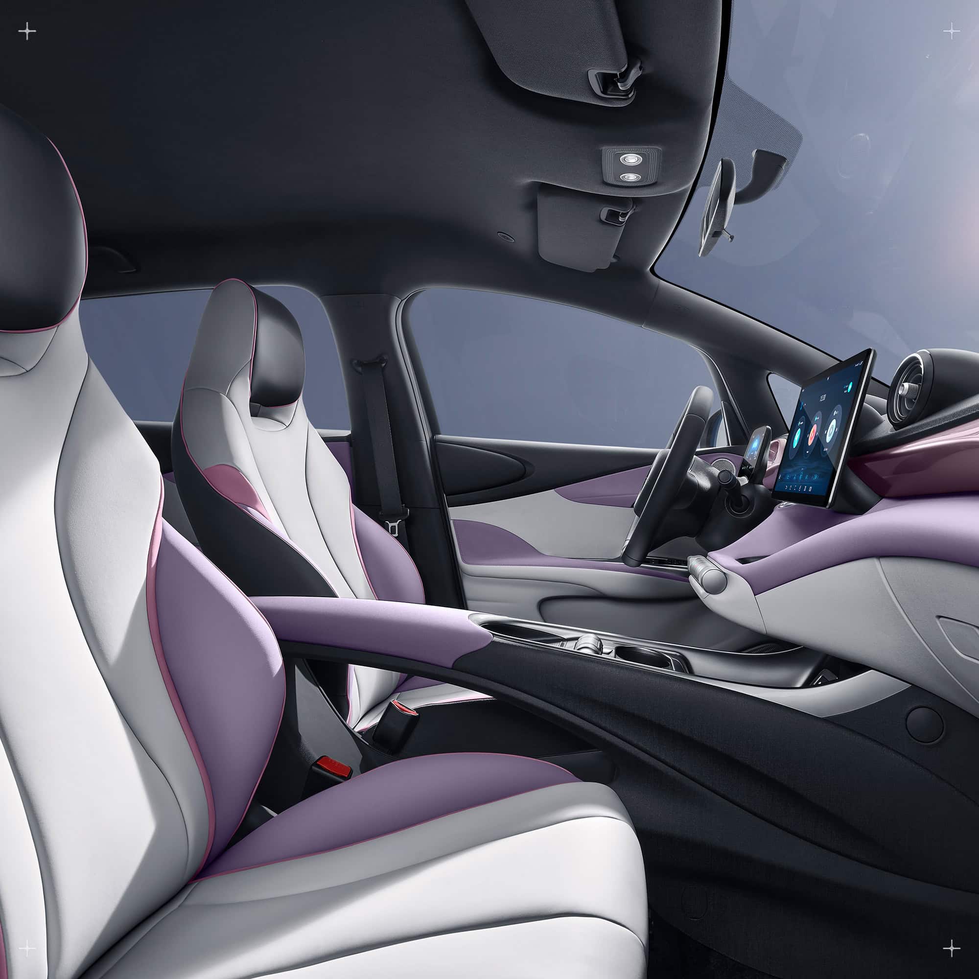 BYD Dolphin - Hàng ghế trước