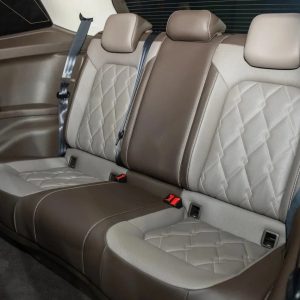 Volkswagen Viloran Premium